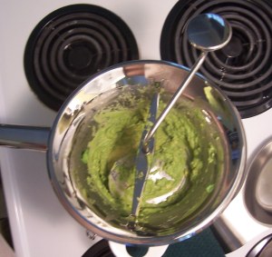pureeing avocado in my food mill!